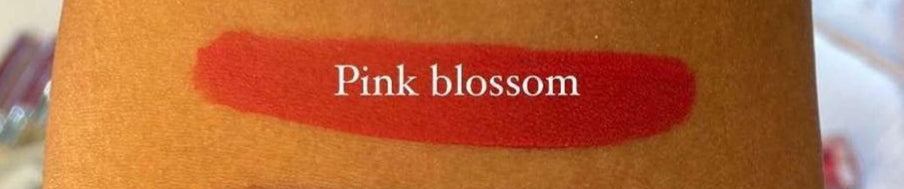 MB COSMETICS AMSTERDAM MATTE LIQUID LIPSTICK